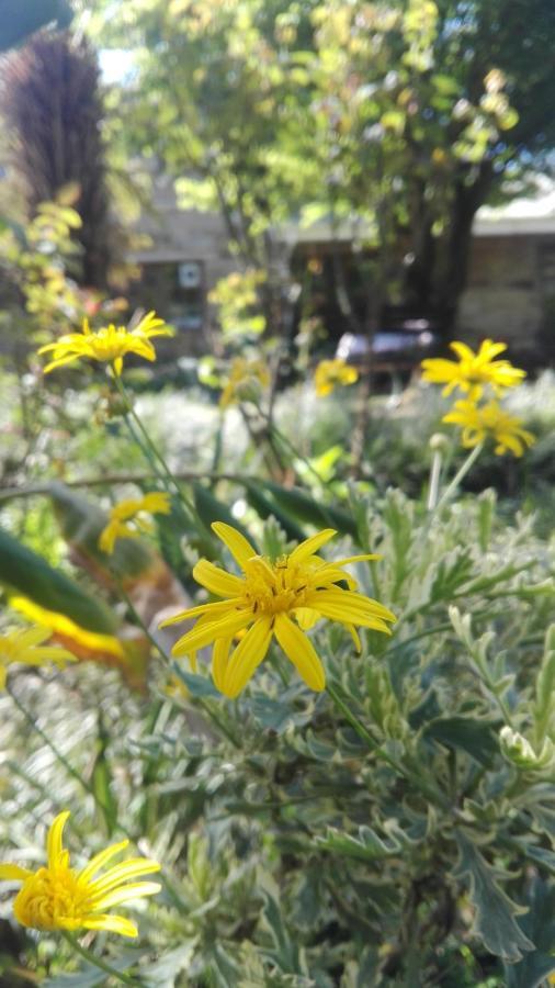 Country Lane Guesthouse Howick Dış mekan fotoğraf