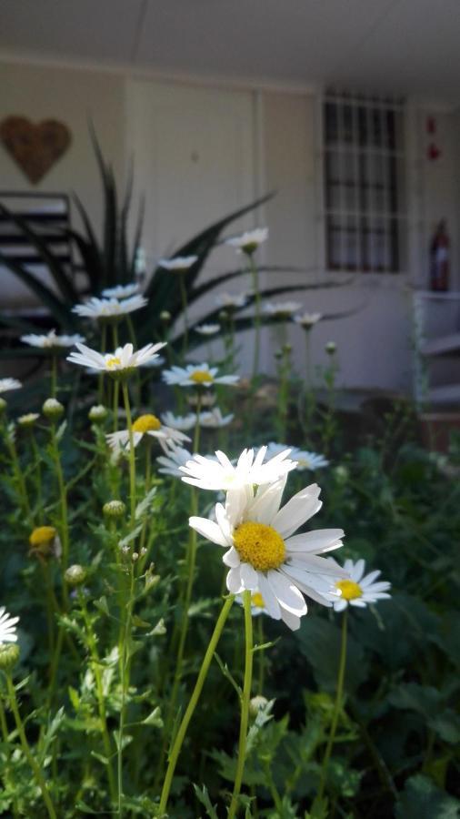 Country Lane Guesthouse Howick Dış mekan fotoğraf